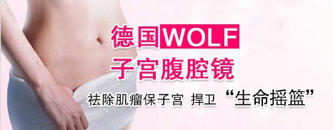 德国Wolf宫腹腔镜